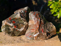 Natural Cobbed Bloodstone Specimens x 6 From Swaziland - Toprock Gemstones and Minerals 