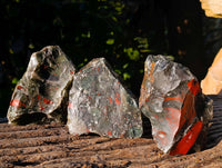 Natural Cobbed Bloodstone Specimens x 6 From Swaziland - Toprock Gemstones and Minerals 