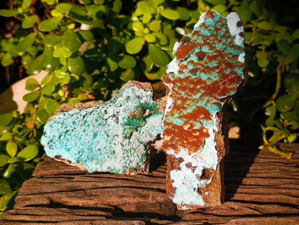 Natural Drusy Coated Chrysocolla with Malachite x 2 From Lupoto Mine, Congo - Toprock Gemstones and Minerals 