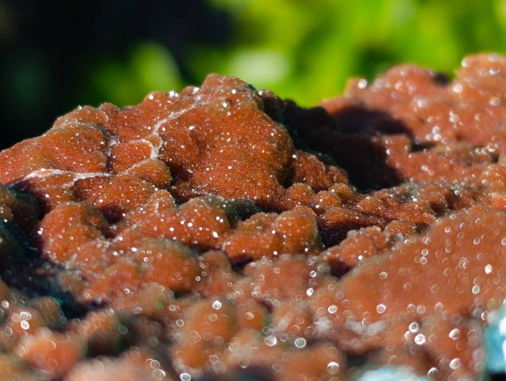 Natural Drusy Coated Chrysocolla with Malachite x 2 From Lupoto Mine, Congo - Toprock Gemstones and Minerals 