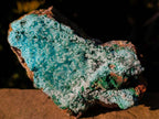 Natural Drusy Coated Chrysocolla with Malachite x 2 From Lupoto Mine, Congo - Toprock Gemstones and Minerals 