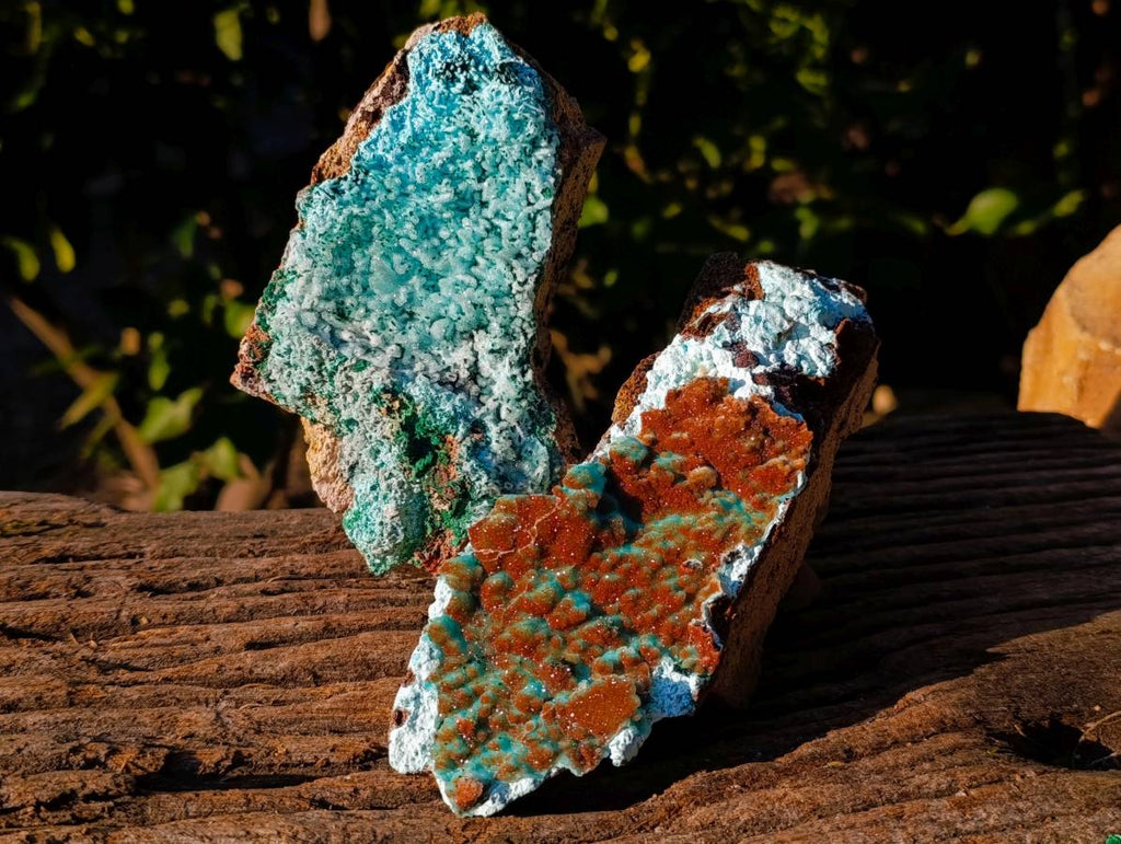 Natural Drusy Coated Chrysocolla with Malachite x 2 From Lupoto Mine, Congo - Toprock Gemstones and Minerals 