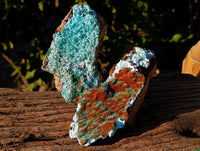 Natural Drusy Coated Chrysocolla with Malachite x 2 From Lupoto Mine, Congo - Toprock Gemstones and Minerals 