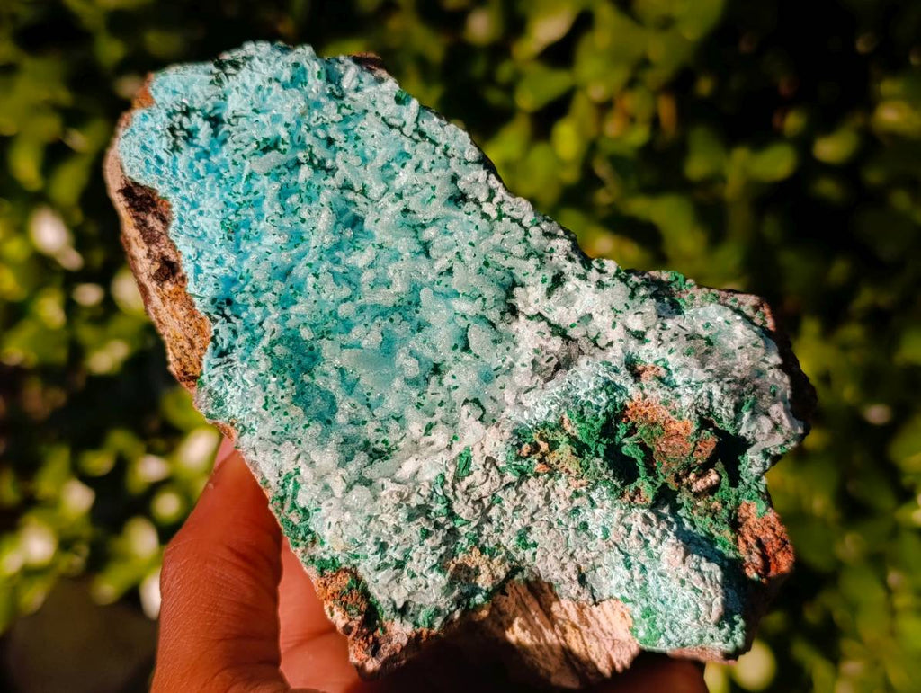Natural Drusy Coated Chrysocolla with Malachite x 2 From Lupoto Mine, Congo - Toprock Gemstones and Minerals 