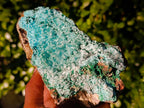 Natural Drusy Coated Chrysocolla with Malachite x 2 From Lupoto Mine, Congo - Toprock Gemstones and Minerals 