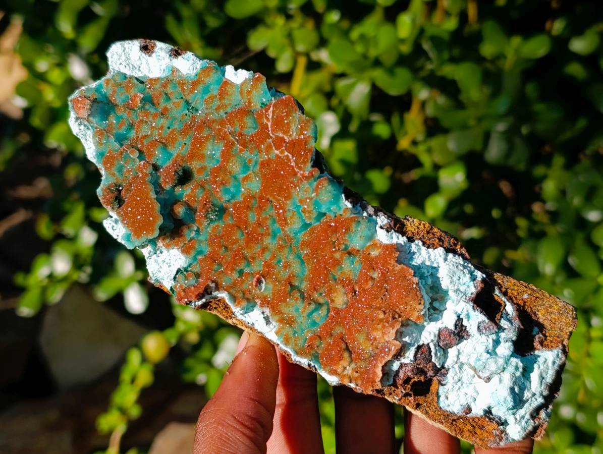 Natural Drusy Coated Chrysocolla with Malachite x 2 From Lupoto Mine, Congo - Toprock Gemstones and Minerals 