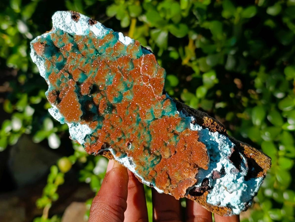 Natural Drusy Coated Chrysocolla with Malachite x 2 From Lupoto Mine, Congo - Toprock Gemstones and Minerals 
