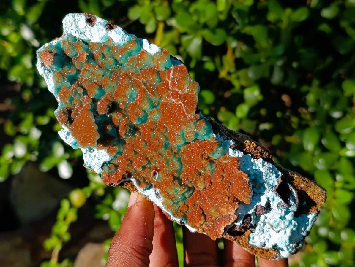 Natural Drusy Coated Chrysocolla with Malachite x 2 From Lupoto Mine, Congo - Toprock Gemstones and Minerals 