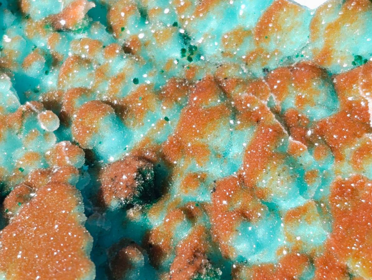 Natural Drusy Coated Chrysocolla with Malachite x 2 From Lupoto Mine, Congo - Toprock Gemstones and Minerals 