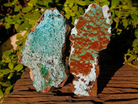 Natural Drusy Coated Chrysocolla with Malachite x 2 From Lupoto Mine, Congo - Toprock Gemstones and Minerals 