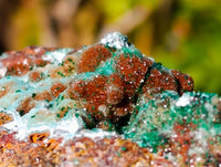 Natural Drusy Coated Chrysocolla with Malachite x 6 From Lupoto Mine, Congo - Toprock Gemstones and Minerals 