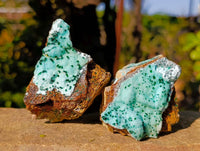 Natural Drusy Coated Chrysocolla with Malachite x 6 From Lupoto Mine, Congo - Toprock Gemstones and Minerals 