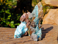 Natural Drusy Coated Chrysocolla with Malachite x 6 From Lupoto Mine, Congo - Toprock Gemstones and Minerals 