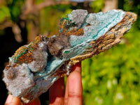 Natural Drusy Coated Chrysocolla with Malachite x 6 From Lupoto Mine, Congo - Toprock Gemstones and Minerals 