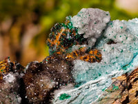 Natural Drusy Coated Chrysocolla with Malachite x 6 From Lupoto Mine, Congo - Toprock Gemstones and Minerals 
