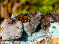 Natural Drusy Coated Chrysocolla with Malachite x 6 From Lupoto Mine, Congo - Toprock Gemstones and Minerals 