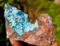 Natural Drusy Coated Chrysocolla with Malachite x 6 From Lupoto Mine, Congo - Toprock Gemstones and Minerals 