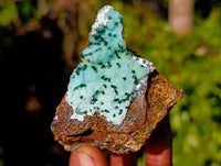 Natural Drusy Coated Chrysocolla with Malachite x 6 From Lupoto Mine, Congo - Toprock Gemstones and Minerals 