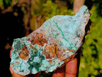 Natural Drusy Coated Chrysocolla with Malachite x 6 From Lupoto Mine, Congo - Toprock Gemstones and Minerals 