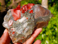 Natural Cobbed Bloodstone Specimens x 12 From Swaziland - Toprock Gemstones and Minerals 