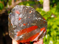 Natural Cobbed Bloodstone Specimens x 12 From Swaziland - Toprock Gemstones and Minerals 