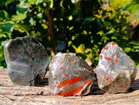 Natural Cobbed Bloodstone Specimens x 12 From Swaziland - Toprock Gemstones and Minerals 