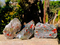 Natural Cobbed Bloodstone Specimens x 12 From Swaziland - Toprock Gemstones and Minerals 