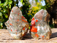 Natural Cobbed Bloodstone Specimens x 12 From Swaziland - Toprock Gemstones and Minerals 