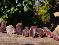 Polished On One Side Red Sashe River Agate Nodules x 12 From Zimbabwe - Toprock Gemstones and Minerals 