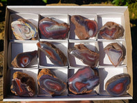Polished On One Side Red Sashe River Agate Nodules x 12 From Zimbabwe - Toprock Gemstones and Minerals 