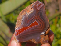 Polished On One Side Red Sashe River Agate Nodules x 12 From Zimbabwe - Toprock Gemstones and Minerals 