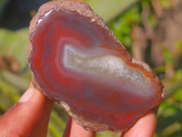 Polished On One Side Red Sashe River Agate Nodules x 12 From Zimbabwe - Toprock Gemstones and Minerals 
