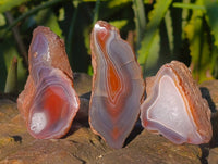 Polished On One Side Red Sashe River Agate Nodules x 12 From Zimbabwe - Toprock Gemstones and Minerals 