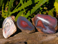Polished On One Side Red Sashe River Agate Nodules x 12 From Zimbabwe - Toprock Gemstones and Minerals 