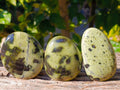 Polished Leopard Stone Palm Stones x 12 From Zimbabwe - Toprock Gemstones and Minerals 