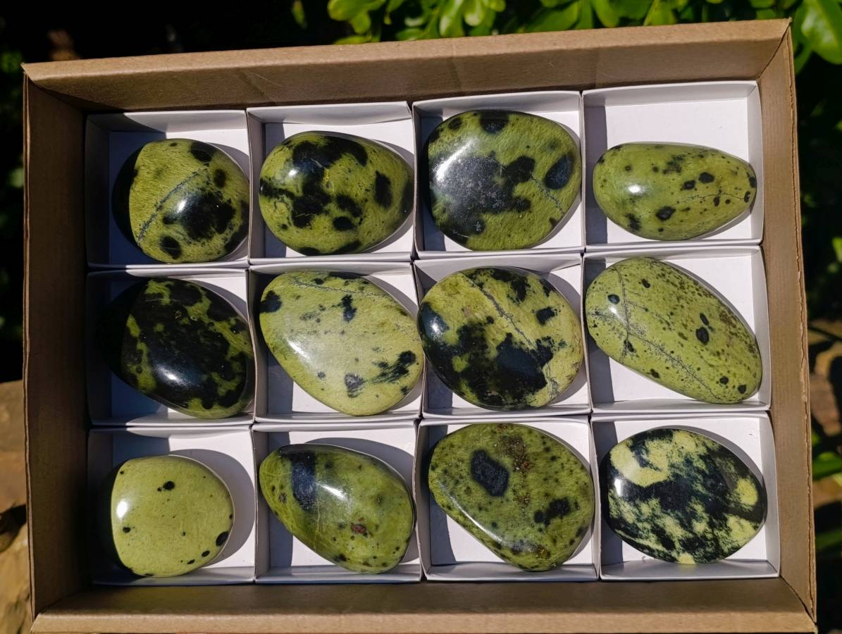 Polished Leopard Stone Palm Stones x 12 From Zimbabwe - Toprock Gemstones and Minerals 
