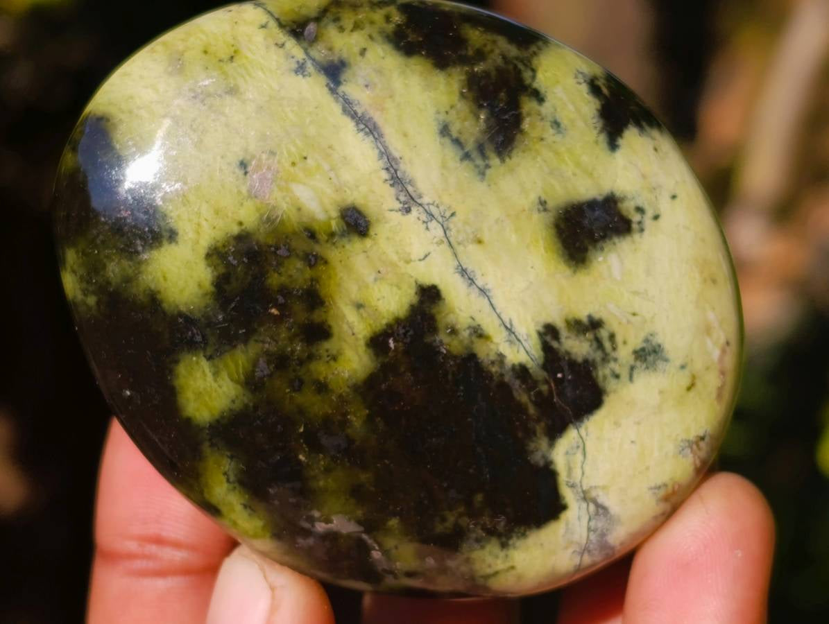 Polished Leopard Stone Palm Stones x 12 From Zimbabwe - Toprock Gemstones and Minerals 