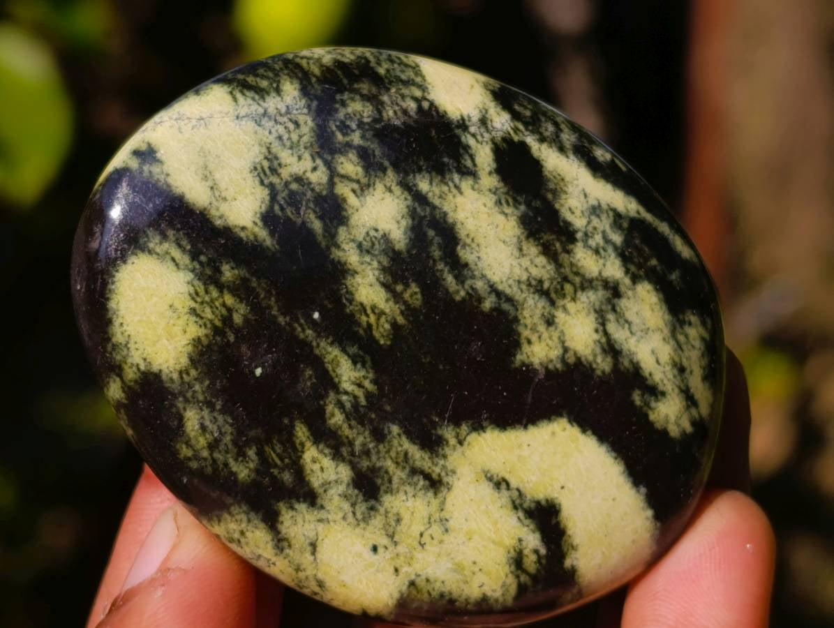 Polished Leopard Stone Palm Stones x 12 From Zimbabwe - Toprock Gemstones and Minerals 
