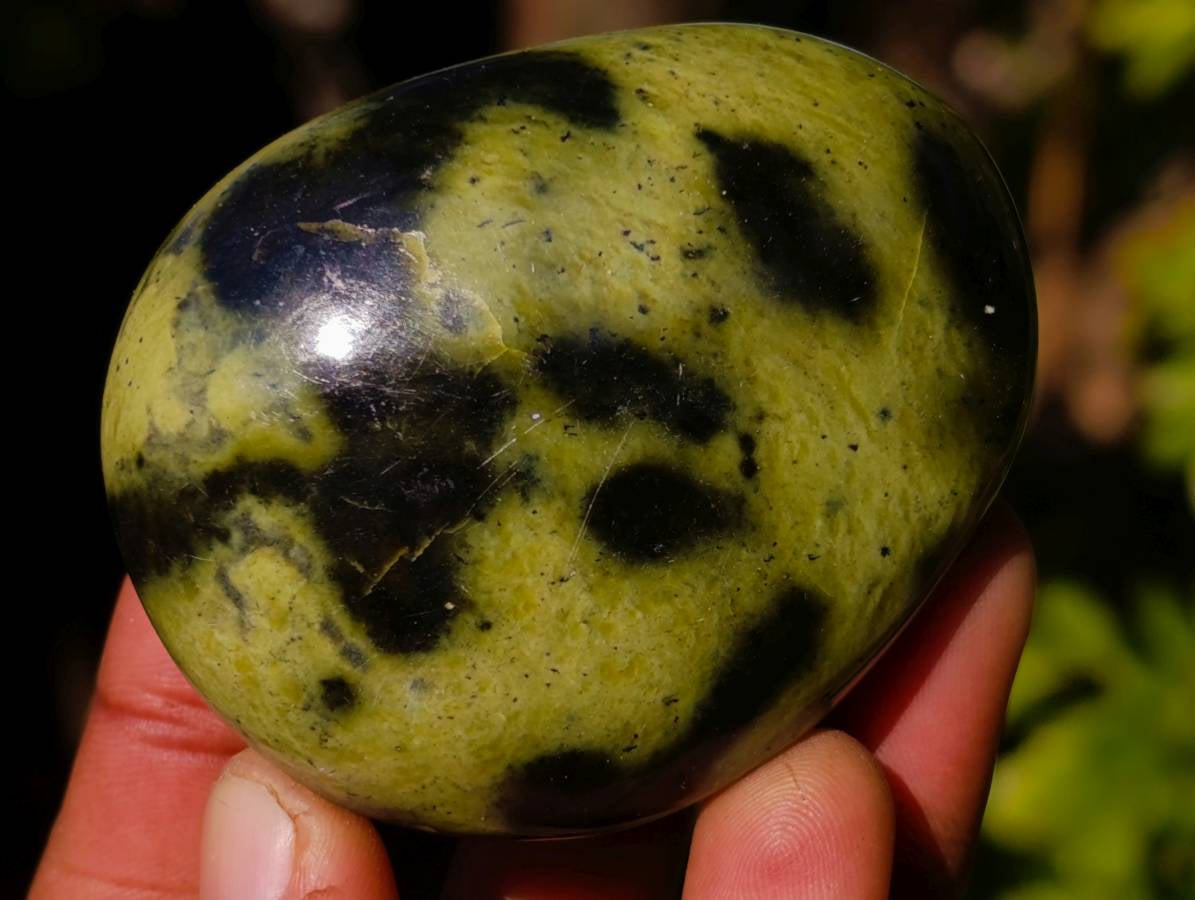Polished Leopard Stone Palm Stones x 12 From Zimbabwe - Toprock Gemstones and Minerals 