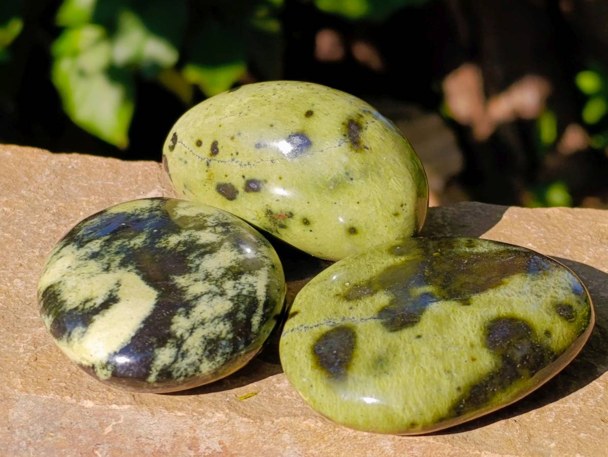 Polished Leopard Stone Palm Stones x 12 From Zimbabwe - Toprock Gemstones and Minerals 