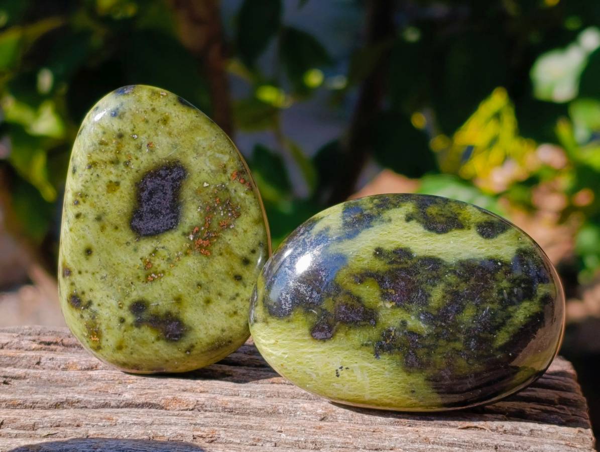Polished Leopard Stone Palm Stones x 12 From Zimbabwe - Toprock Gemstones and Minerals 