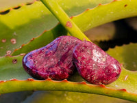 Polished Red Cherry Quartz Tumbled Stones - Sold Per Kg - From South Africa - Toprock Gemstones and Minerals 