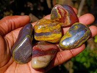 Polished Banded Tiger Iron Tumbled Stones - Sold Per Kg -  From South Africa - Toprock Gemstones and Minerals 