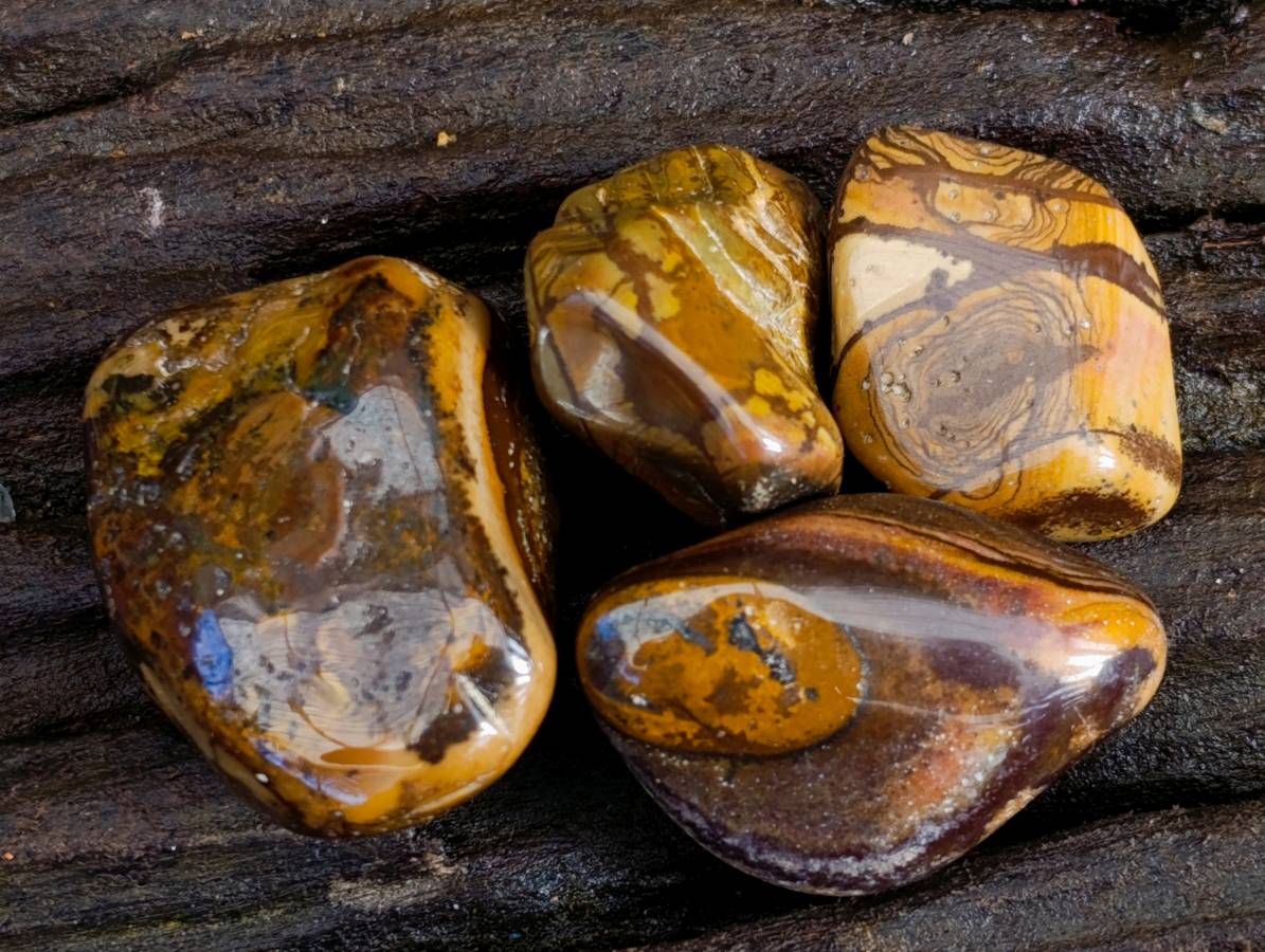 Polished Nguni Jasper Tumble Stones - sold per 1 kg - From Northern Cape, South Africa - Toprock Gemstones and Minerals 