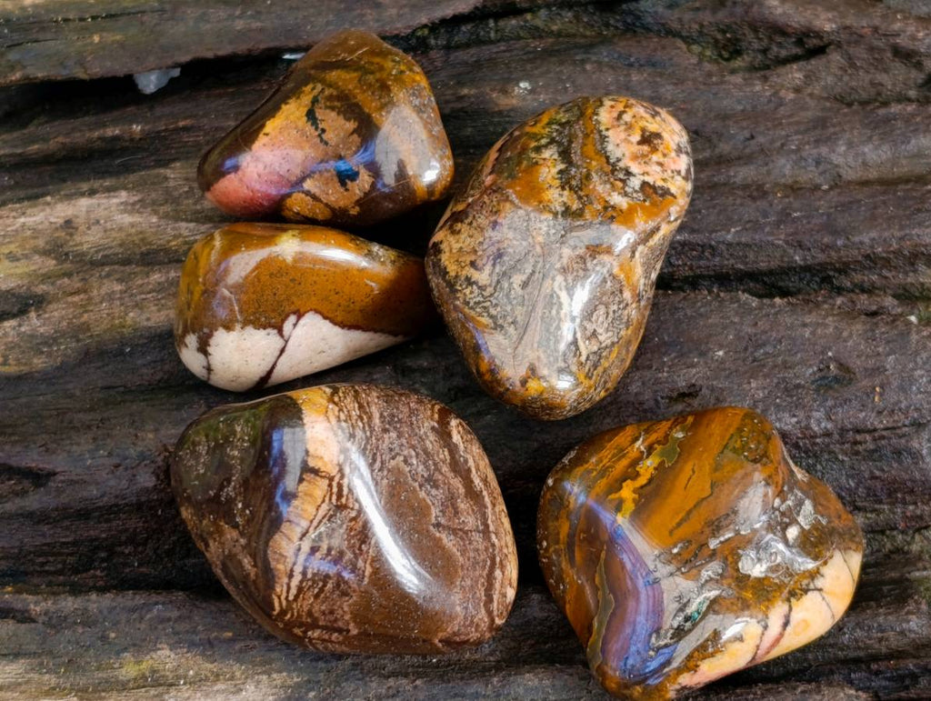 Polished Nguni Jasper Tumble Stones - sold per 1 kg - From Northern Cape, South Africa - Toprock Gemstones and Minerals 