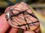 Polished Nguni Jasper Tumble Stones - sold per 1 kg - From Northern Cape, South Africa - Toprock Gemstones and Minerals 