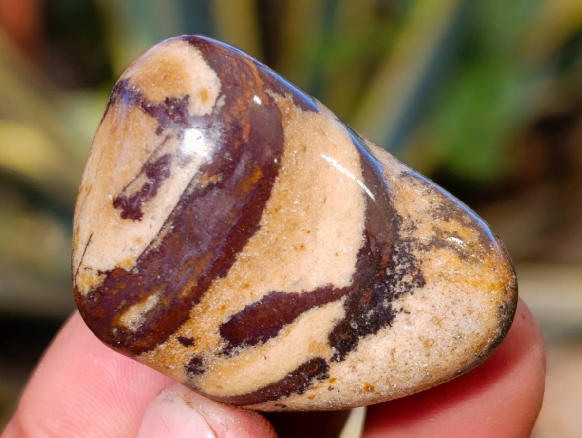 Polished Nguni Jasper Tumble Stones - sold per 1 kg - From Northern Cape, South Africa - Toprock Gemstones and Minerals 