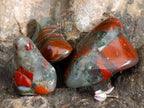Polished Bloodstone Tumbled Stones - sold per kg - From Swaziland - Toprock Gemstones and Minerals 