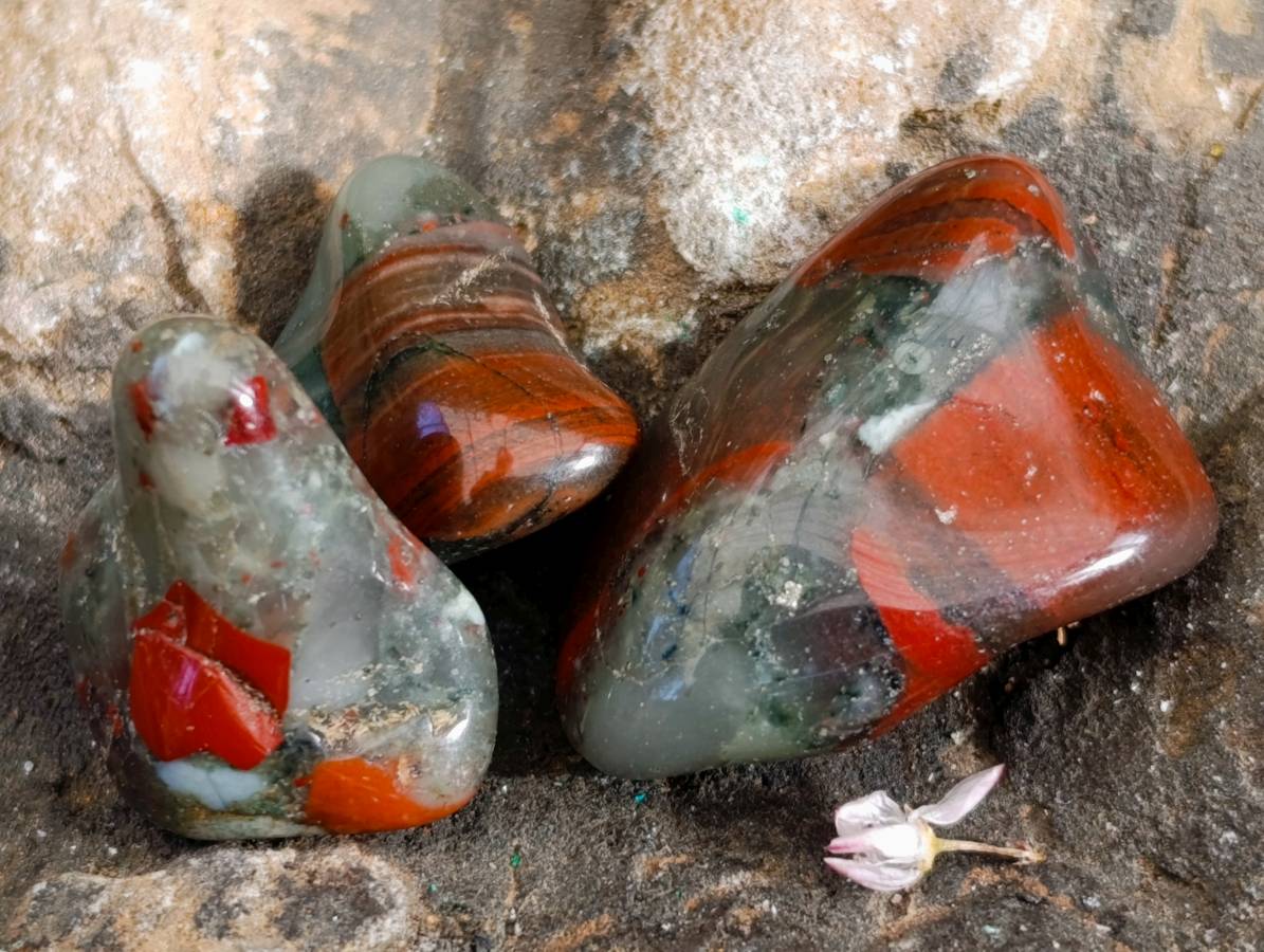 Polished Bloodstone Tumbled Stones - sold per kg - From Swaziland - Toprock Gemstones and Minerals 