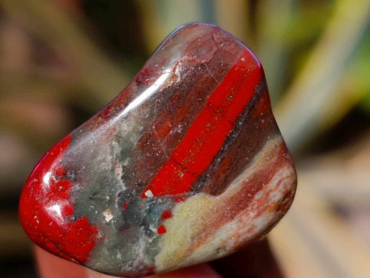 Polished Bloodstone Tumbled Stones - sold per kg - From Swaziland - Toprock Gemstones and Minerals 
